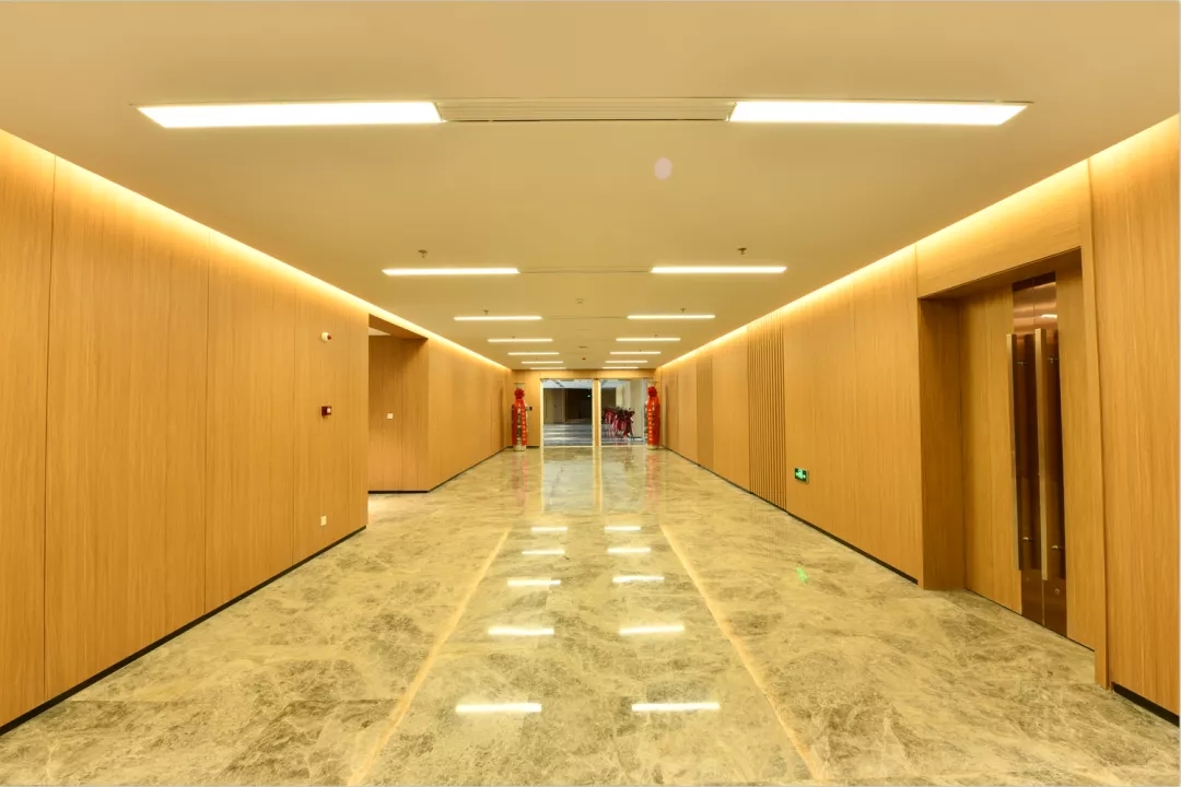 1629280018456726.jpg 9.webp (1).jpg